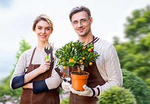 Проект «под ключ» где можно заказать по низкой цене  в Луганске