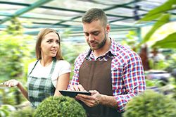 Дендроплан - верное планирование территории и решения этой задачи на уровне  в Луганске