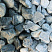 Kamenclub.ru: Щебень галтованный зеленый (змеевик) фр. 50-100 мм.  купить в Луганске галтовка мраморная зеленый, салатовый мрамор 12 500 руб/т   фото КАМЕНЬ КЛУБ