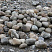 Kamenclub.ru: Речной валун (Ассорти) фр.100-300 мм.  купить в Луганске галечник серый, темно-серый, светло-серый речная галька крупных размеров 4200 руб/т   фото КАМЕНЬ КЛУБ