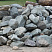 Kamenclub.ru: Гранит скальник (серо-зеленый) фр. 100-500 мм.  купить в Луганске гранит зеленый, серый, салатовый крупный ландшафтный валун 6 000 руб/т   фото КАМЕНЬ КЛУБ