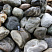 Kamenclub.ru: Речной валун Кабанчик фр.300-500 мм.  купить в Луганске крупный природный камень галька серый, темно-серый речной валун галечник масштабный 7000 руб/т   фото КАМЕНЬ КЛУБ