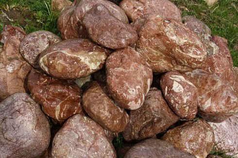 Kamenclub.ru: Розовый валунчик фр.100-300 мм.  купить в Луганске крупный природный камень розовый, серый молочный красный речной галечник природный 7850 руб/т   фото КАМЕНЬ КЛУБ