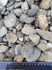 Kamenclub.ru: Галька речная окат (пестрая) фр. 20-40 мм. купить  в Луганске галька речная пестрая, серая, серые оттенки галька речная окатанная округлая 5000 руб/т   фото КАМЕНЬ КЛУБ