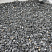 Kamenclub.ru: Щебень крошка черный (мрамор) фр. 10-20 мм.  купить в Луганске мрамор черный с белыми прожилками, черный, белый каменная ландшафтная декоративная крошка щебня 11000 руб/т   фото КАМЕНЬ КЛУБ