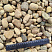 Kamenclub.ru: Галька речная окат рыжая фр. 20-40 мм. купить  в Луганске галька речная окатанная рыжая желтая серая округлая речная галька 5000 руб/т   фото КАМЕНЬ КЛУБ