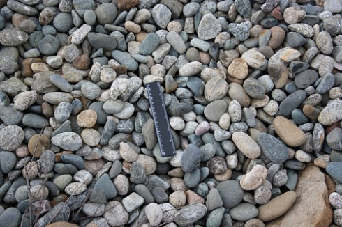 Kamenclub.ru: Галька речная окат (пестрая) фр. 20-40 мм. купить  в Луганске галька речная пестрая, серая, серые оттенки галька речная окатанная округлая 5000 руб/т   фото КАМЕНЬ КЛУБ