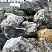 Kamenclub.ru: Черный гранит - кварцит фр. 100-500 мм.  купить в Луганске мрамор гранит черный с белыми прожилками, серый, белый валун скальный колотый 7000 руб/т   фото КАМЕНЬ КЛУБ