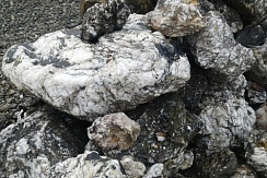 Kamenclub.ru: Черный гранит - кварцит фр. 100-500 мм.  купить в Луганске мрамор гранит черный с белыми прожилками, серый, белый валун скальный колотый 7000 руб/т   фото КАМЕНЬ КЛУБ