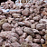 Kamenclub.ru: Розовый валунчик фр.100-300 мм.  купить в Луганске крупный природный камень розовый, серый молочный красный речной галечник природный 7850 руб/т   фото КАМЕНЬ КЛУБ