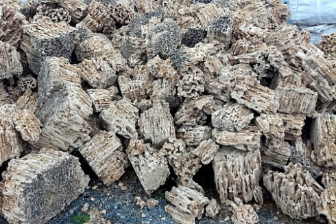 Kamenclub.ru: Крымский природный меотис фр. 100-500 мм.  купить в Луганске меотис бежевый рыжий молочный желтый ракушечник 4 500 руб/т   фото КАМЕНЬ КЛУБ