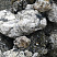 Kamenclub.ru: Черный гранит - кварцит фр. 100-500 мм.  купить в Луганске мрамор гранит черный с белыми прожилками, серый, белый валун скальный колотый 7000 руб/т   фото КАМЕНЬ КЛУБ