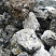 Kamenclub.ru: Черный гранит - кварцит фр. 100-500 мм.  купить в Луганске мрамор гранит черный с белыми прожилками, серый, белый валун скальный колотый 7000 руб/т   фото КАМЕНЬ КЛУБ