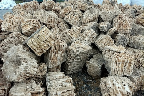 Kamenclub.ru: Крымский природный меотис фр. 100-500 мм.  купить в Луганске меотис бежевый рыжий молочный желтый ракушечник 4 500 руб/т   фото КАМЕНЬ КЛУБ