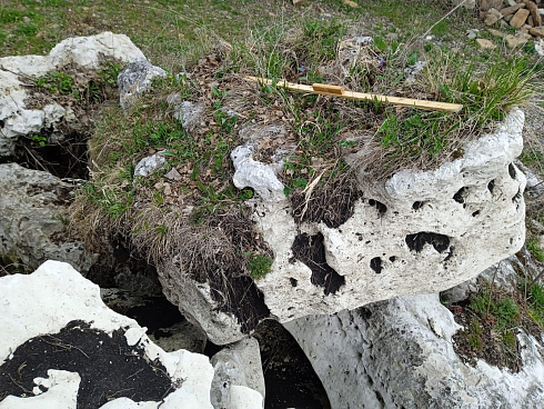 Kamenclub.ru: Выветренный известняк со мхом фр. 100-500 мм.  купить в Луганске известняк серый белый зеленый валун известняковый крупный 10000 руб/т   фото КАМЕНЬ КЛУБ