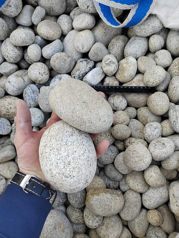 Kamenclub.ru: Галька речная окат (серо-белая) фр. 70-120 мм купить  в Луганске галька галечник бело-серая, серо-белая, серая, белая речная природная галька  8000 руб/т   фото КАМЕНЬ КЛУБ