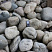 Kamenclub.ru: Темно-серый валунчик фр.100-300 мм.  купить в Луганске крупный природный камень серый, темно-серый, светло-серый речная галька большого размера окатанная 4500 руб/т   фото КАМЕНЬ КЛУБ