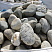 Kamenclub.ru: Речной валун (Ассорти) фр.100-300 мм.  купить в Луганске галечник серый, темно-серый, светло-серый речная галька крупных размеров 4200 руб/т   фото КАМЕНЬ КЛУБ