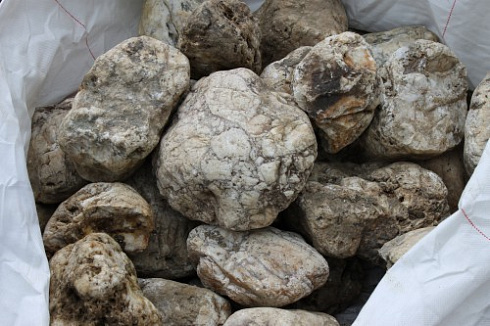 Kamenclub.ru: Кварцевый валунчик фр.100-300 мм.  купить в Луганске кварц белый, бежевый молочный рыжий крупный природный камень галечник 7850 руб/т   фото КАМЕНЬ КЛУБ