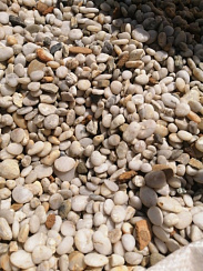 Галька Крымская Жемчужина фр. 10-20 мм.  купить в Луганске фото Камень Клуб