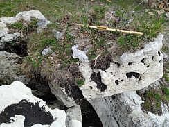 Kamenclub.ru: Выветренный известняк (степной) фр. 500-1500 мм.  купить в Луганске    10000 руб/т   фото КАМЕНЬ КЛУБ