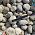 Kamenclub.ru: Галька речная окат (серо-белая) фр. 70-120 мм купить  в Луганске галька галечник бело-серая, серо-белая, серая, белая речная природная галька  8000 руб/т   фото КАМЕНЬ КЛУБ
