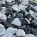 Kamenclub.ru: Мраморная крошка (щебень галтованный микс:: белый-черный) фр.20-40 мм  купить в Луганске мрамор белый, черный мраморный галтованный щебень 15500 руб/т   фото КАМЕНЬ КЛУБ