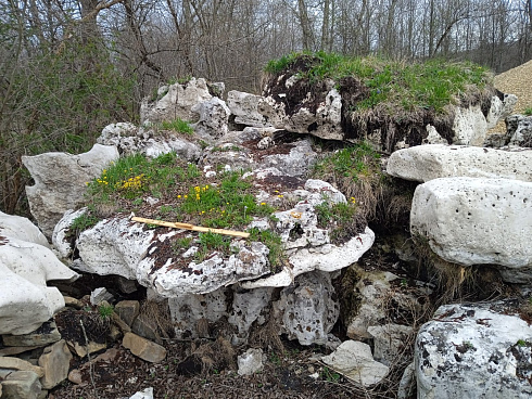 Kamenclub.ru: Выветренный известняк со мхом фр. 100-500 мм.  купить в Луганске известняк серый белый зеленый валун известняковый крупный 10000 руб/т   фото КАМЕНЬ КЛУБ