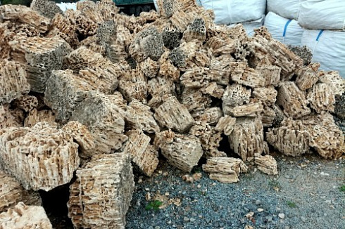 Kamenclub.ru: Крымский природный меотис фр. 100-500 мм.  купить в Луганске меотис бежевый рыжий молочный желтый ракушечник 4 500 руб/т   фото КАМЕНЬ КЛУБ