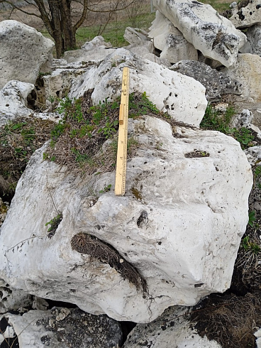 Kamenclub.ru: Выветренный известняк со мхом фр. 100-500 мм.  купить в Луганске известняк серый белый зеленый валун известняковый крупный 10000 руб/т   фото КАМЕНЬ КЛУБ