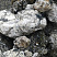 Kamenclub.ru: Черный гранит - кварцит фр. 100-500 мм.  купить в Луганске мрамор гранит черный с белыми прожилками, серый, белый валун скальный колотый 7000 руб/т   фото КАМЕНЬ КЛУБ