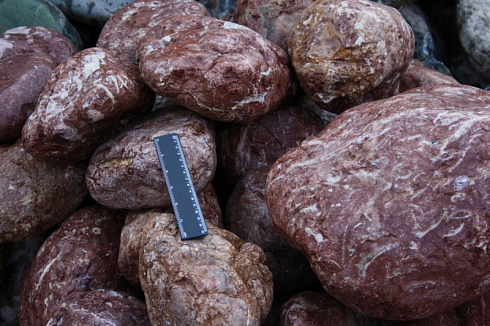 Kamenclub.ru: Розовый валунчик фр.100-300 мм.  купить в Луганске крупный природный камень розовый, серый молочный красный речной галечник природный 7850 руб/т   фото КАМЕНЬ КЛУБ