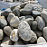 Kamenclub.ru: Речной валун (Ассорти) фр.100-300 мм.  купить в Луганске галечник серый, темно-серый, светло-серый речная галька крупных размеров 4200 руб/т   фото КАМЕНЬ КЛУБ