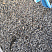 Kamenclub.ru: Галька речная окат (серая) фр.3-5 мм купить  в Луганске галька речная серая бежевый темно-серый окатанный речной камень округлый 9500 руб/т   фото КАМЕНЬ КЛУБ