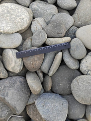 Kamenclub.ru: Галька речная плоская (ассорти) фр. 70-150 мм. купить в Луганске галька галечник серый белый темно-серый синий светло-серый плоская природная галька  9000 руб/т   фото КАМЕНЬ КЛУБ