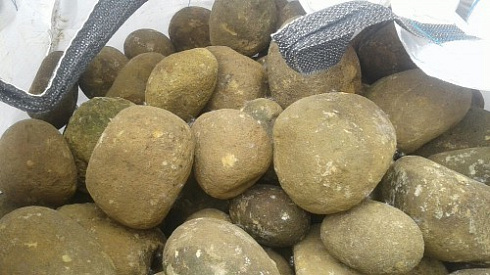 Kamenclub.ru: Песчаник ядра, фр. 100-300 мм  купить в Луганске песчаник бежевый серый рыжий речная галька 5 000 руб/т   фото КАМЕНЬ КЛУБ