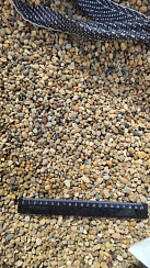 Kamenclub.ru: Галька окат (серо-желтая) фр.5-10 мм. купить  в Луганске галька речная рыжий, желтый, рыжий, серо-желтый речная окатанная галька декоративная 5000 руб/т   фото КАМЕНЬ КЛУБ