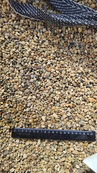 Kamenclub.ru: Галька окат (серо-желтая) фр.5-10 мм. купить  в Луганске галька речная рыжий, желтый, рыжий, серо-желтый речная окатанная галька декоративная 5000 руб/т   фото КАМЕНЬ КЛУБ