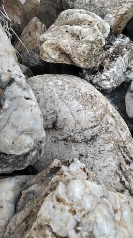 Kamenclub.ru: Кварцевый валунчик фр.100-300 мм.  купить в Луганске кварц белый, бежевый молочный рыжий крупный природный камень галечник 7850 руб/т   фото КАМЕНЬ КЛУБ