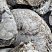 Kamenclub.ru: Кварцевый валунчик фр.100-300 мм.  купить в Луганске кварц белый, бежевый молочный рыжий крупный природный камень галечник 7850 руб/т   фото КАМЕНЬ КЛУБ