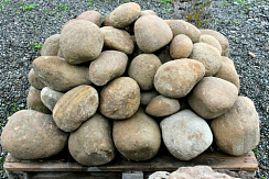Kamenclub.ru: Песчаник ядра, фр. 100-300 мм  купить в Луганске песчаник бежевый серый рыжий речная галька 5 000 руб/т   фото КАМЕНЬ КЛУБ