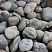 Kamenclub.ru: Речной валун (Ассорти) фр.100-300 мм.  купить в Луганске галечник серый, темно-серый, светло-серый речная галька крупных размеров 4200 руб/т   фото КАМЕНЬ КЛУБ