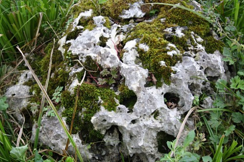 Kamenclub.ru: Выветренный известняк со мхом фр. 100-500 мм.  купить в Луганске известняк серый белый зеленый валун известняковый крупный 10000 руб/т   фото КАМЕНЬ КЛУБ