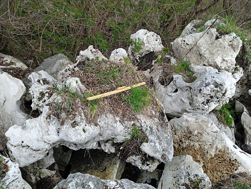 Kamenclub.ru: Выветренный известняк (степной) фр. 500-1500 мм.  купить в Луганске    10000 руб/т   фото КАМЕНЬ КЛУБ