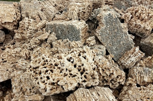 Kamenclub.ru: Крымский природный меотис фр. 100-500 мм.  купить в Луганске меотис бежевый рыжий молочный желтый ракушечник 4 500 руб/т   фото КАМЕНЬ КЛУБ