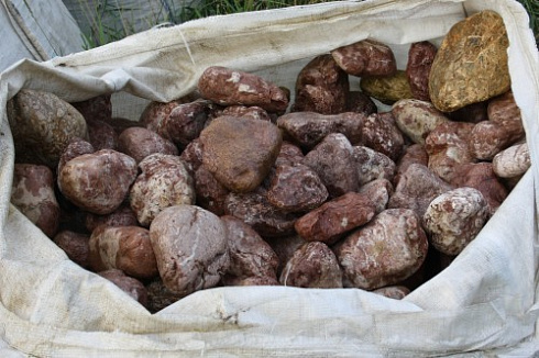 Kamenclub.ru: Розовый валунчик фр.100-300 мм.  купить в Луганске крупный природный камень розовый, серый молочный красный речной галечник природный 7850 руб/т   фото КАМЕНЬ КЛУБ