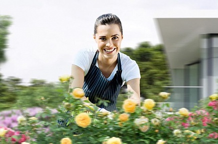 Как вылечить растения в саду: болезни роз и других цветов - у нас можно заказать природный камень по низким ценам - как заказать, где купить без посредников, куда обратиться, быстро с доставкой под ключ - в Камень Клуб