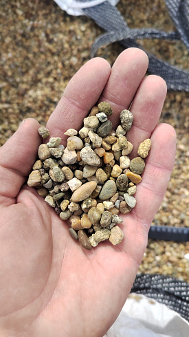 Kamenclub.ru: Галька окат (серо-желтая) фр.5-10 мм. купить  в Луганске галька речная рыжий, желтый, рыжий, серо-желтый речная окатанная галька декоративная 5000 руб/т   фото КАМЕНЬ КЛУБ